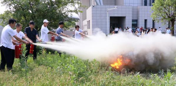 球速体育稳定线路
