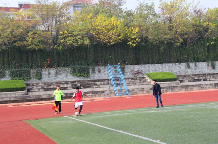 球速体育体育频道图片