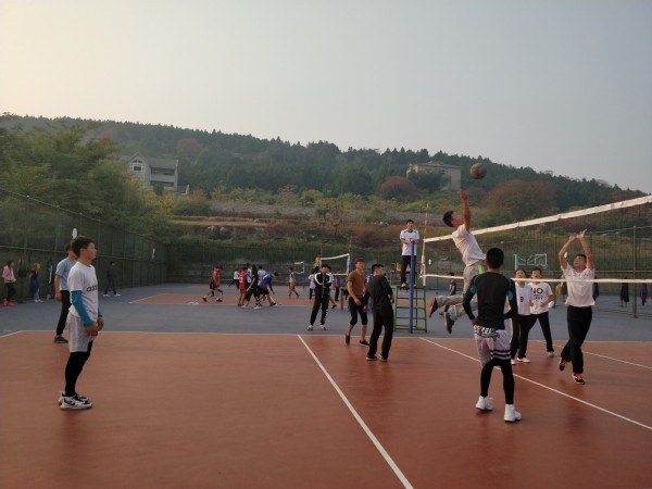 球速体育稳定线路