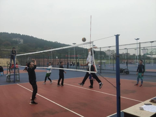 球速体育官方线路