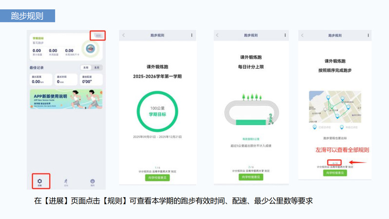 球速体育官方线路