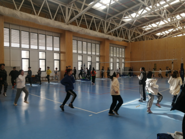 球速体育客户端