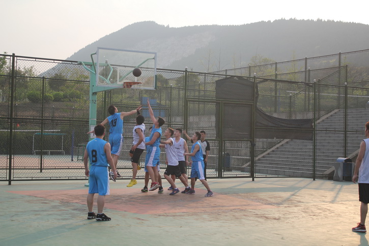 球速体育官方线路图片