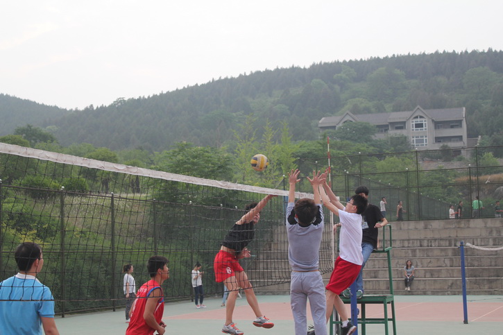球速体育指定通道图片