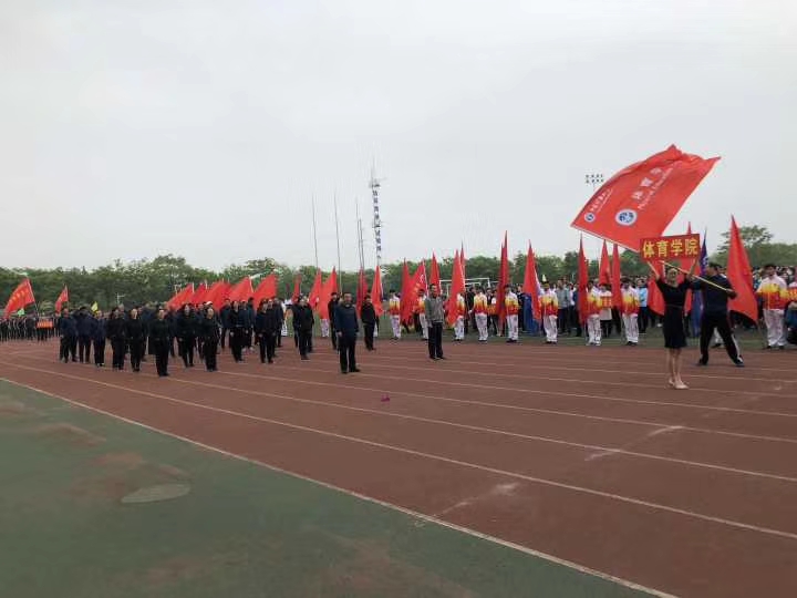 球速体育稳定线路