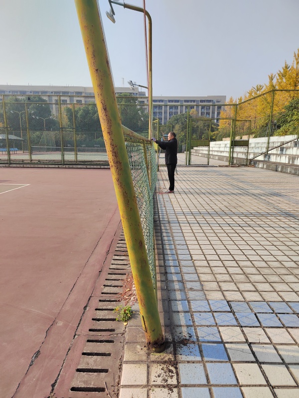 球速体育指定入口