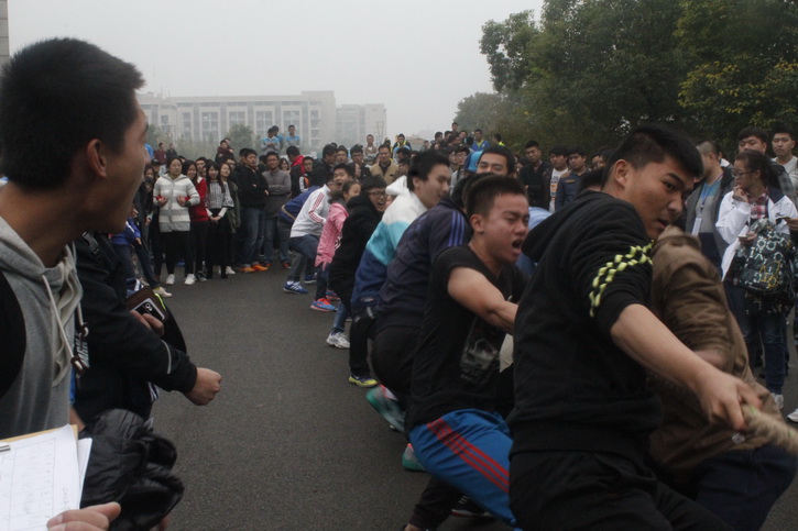 球速体育互联系统图片