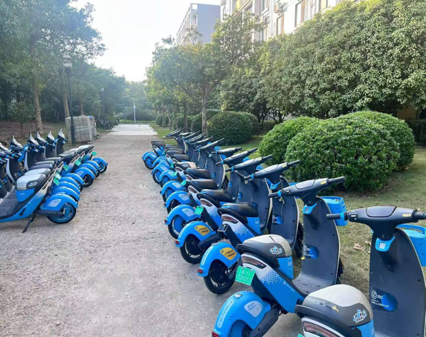 球速体育指定入口