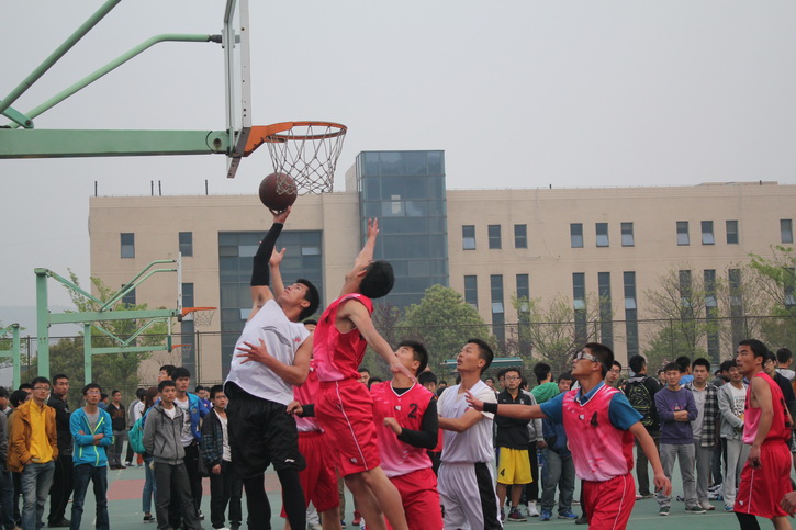 球速体育NBA频道图片