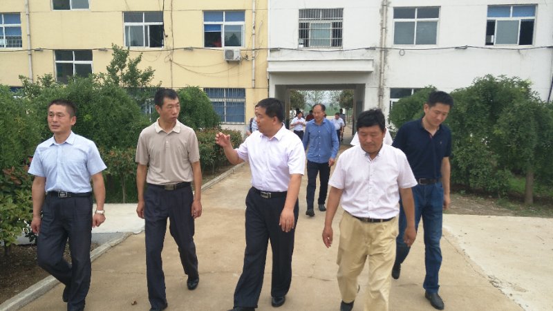 球速体育稳定线路