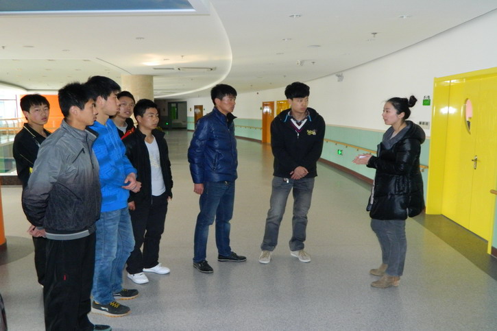球速体育客户端图片