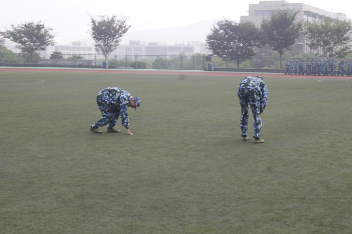球速体育备用网址图片
