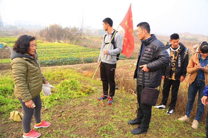 球速体育平台图片