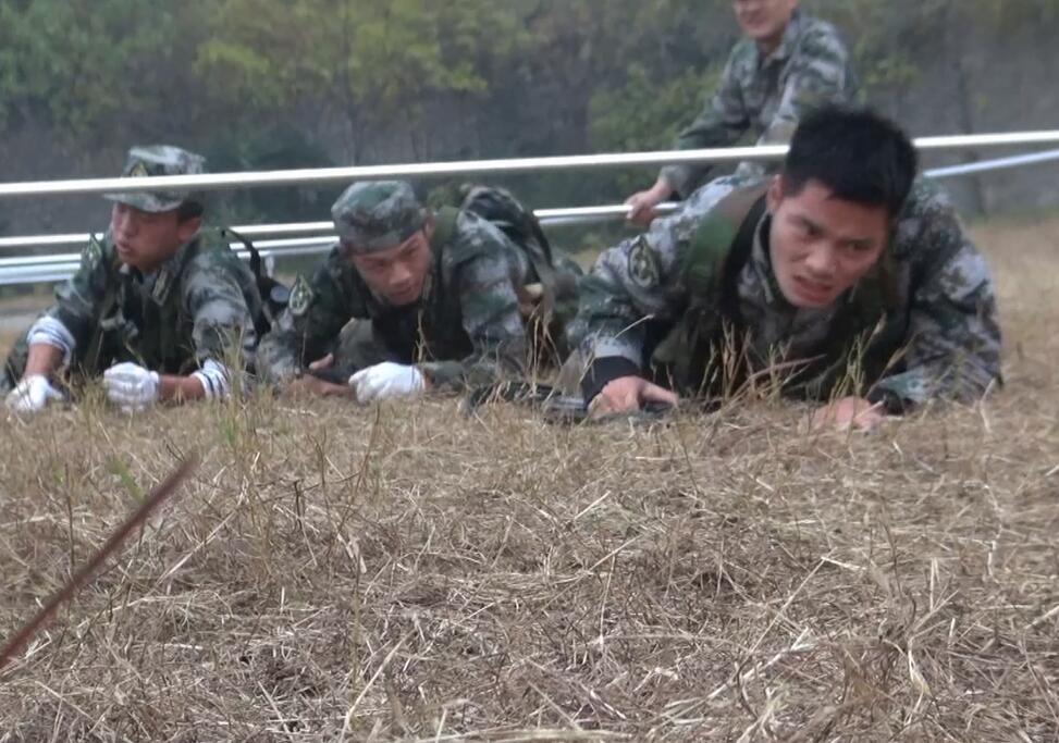 球速体育稳定线路图片