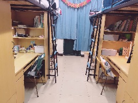 球速体育指定入口