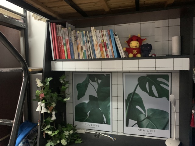球速体育平台