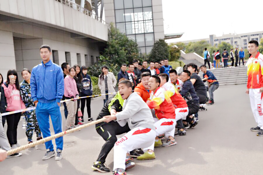 球速体育指定入口图片