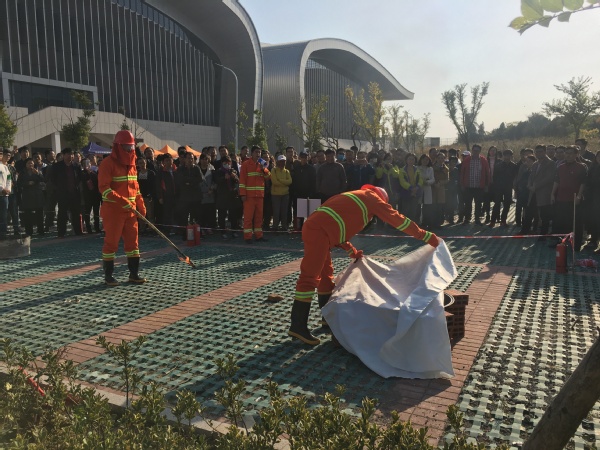 球速体育稳定线路