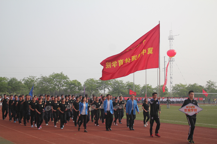 球速体育备用网址图片