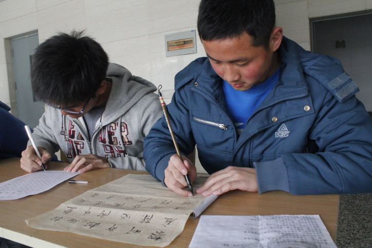 球速体育指定入口图片