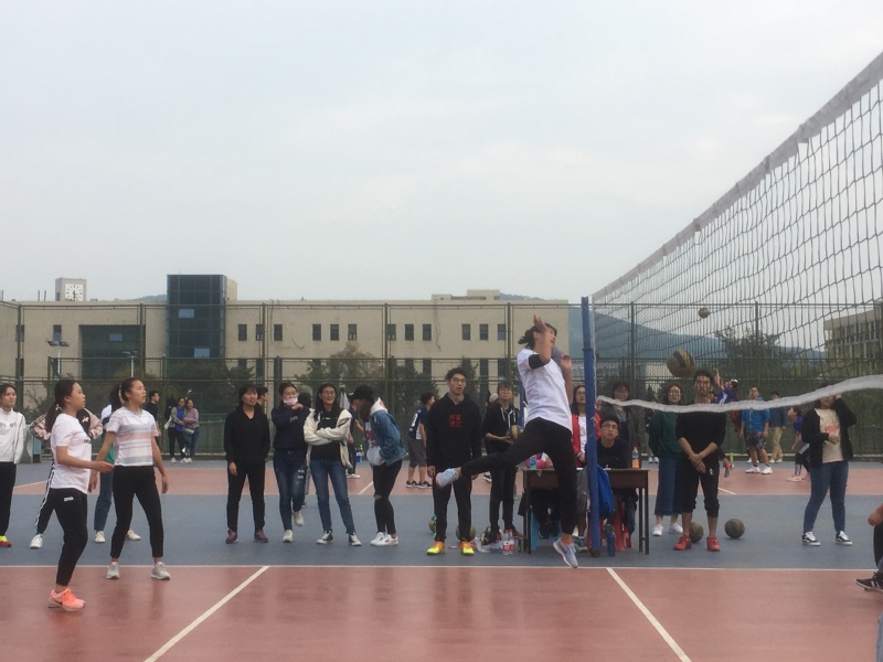 球速体育稳定线路