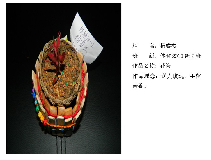 球速体育加速节点图片