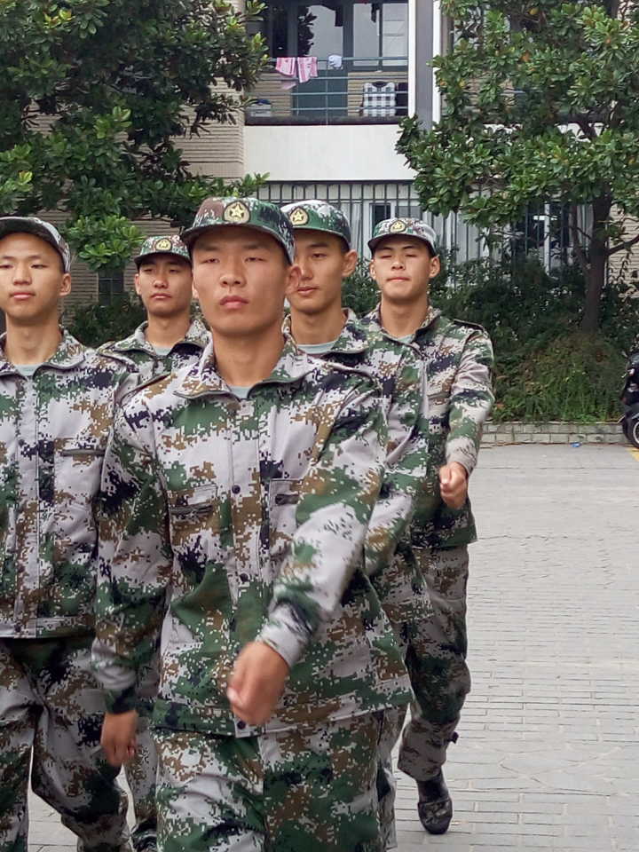 球速体育指定通道图片