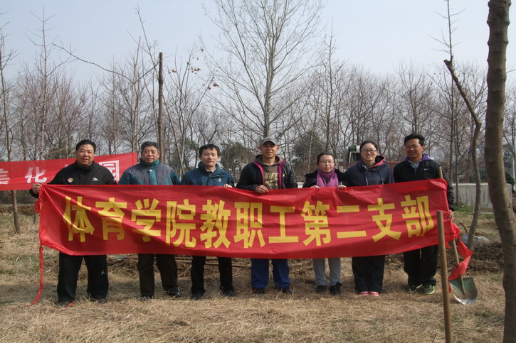 球速体育数据中心图片