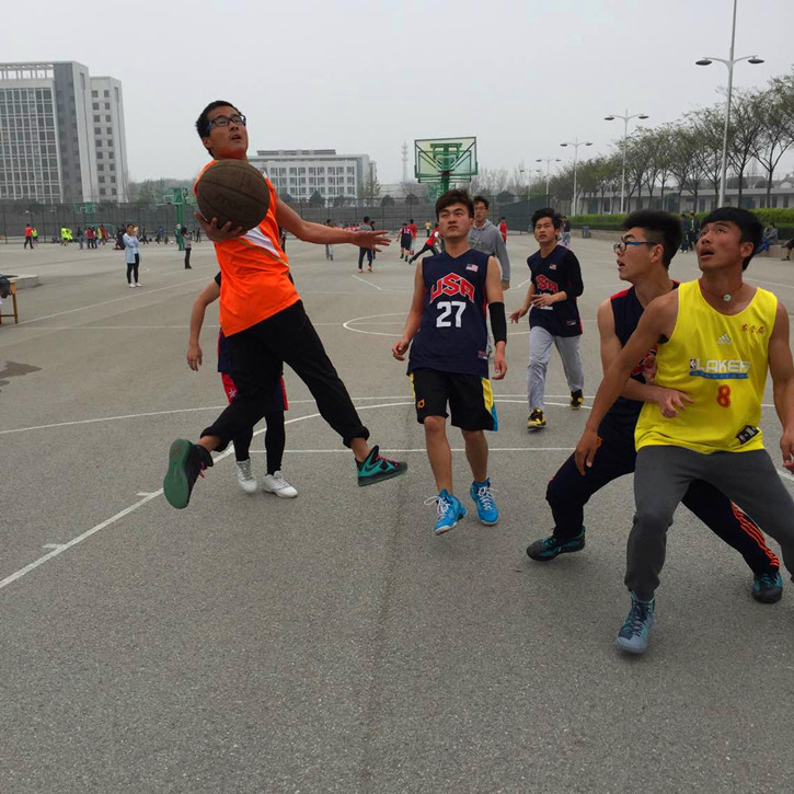 球速体育稳定线路图片